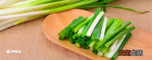 葱白是什么 葱白是什么意思
