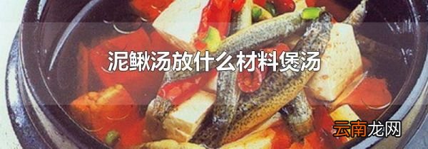 泥鳅汤放什么材料煲汤