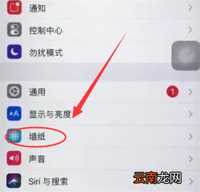 苹果6plus中设置墙纸的简单步骤