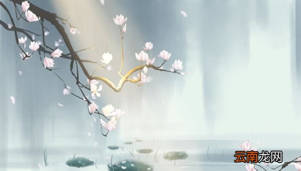 花红易衰似郎意水流无限似侬愁是什么意思 花红易衰似郎意水流无限似侬愁什么意思