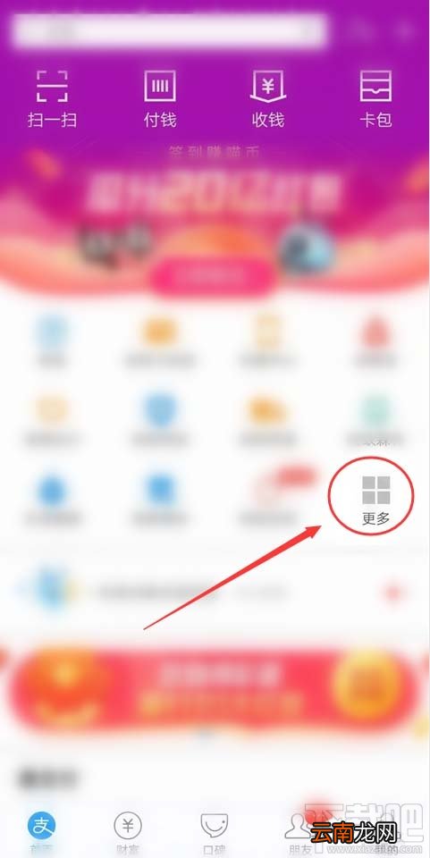 支付宝怎么使用车辆上牌预约服务？