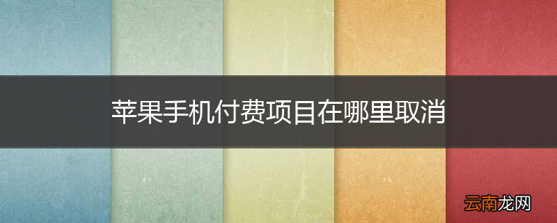 苹果手机付费项目在哪里取消