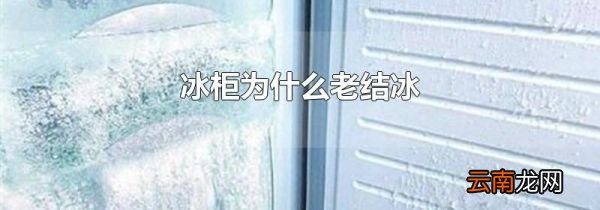 冰柜为什么老结冰