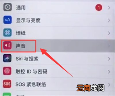 苹果6plus中开启振动的简单步骤