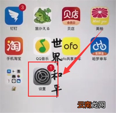 苹果6plus中开启振动的简单步骤