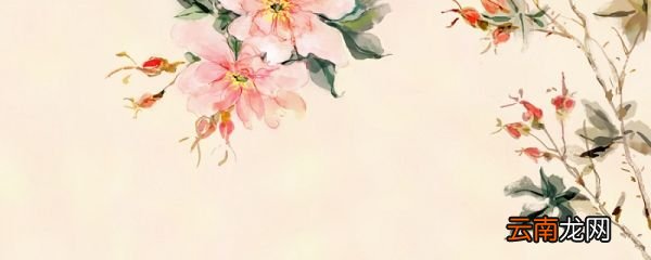 烟草花是什么 烟草花的习性