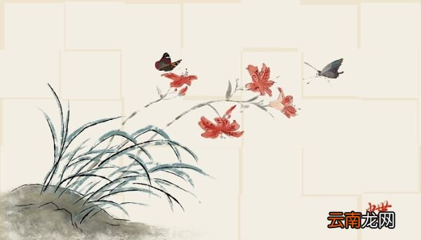 烟草花是什么 烟草花的习性