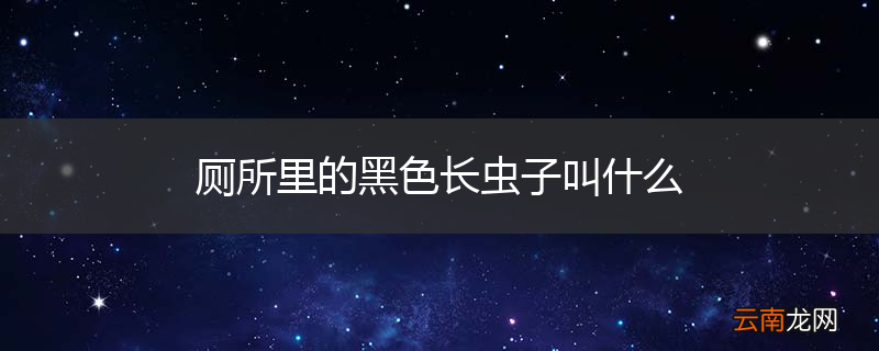 厕所里的黑色长虫子叫什么