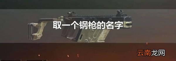 取一个钢枪的名字