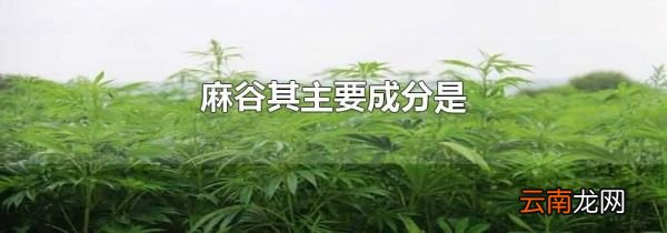 麻谷其主要成分是