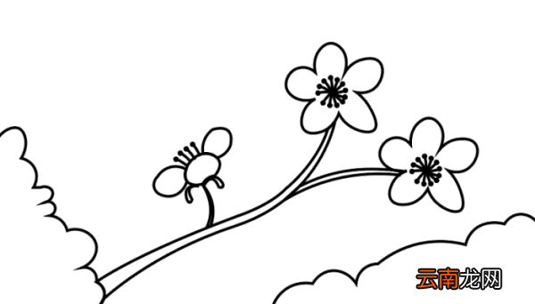 卡通樱花简笔画 卡通樱花简笔画怎么画