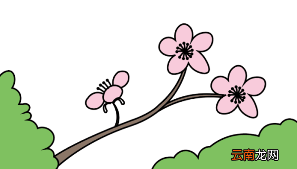 卡通樱花简笔画 卡通樱花简笔画怎么画