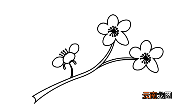 卡通樱花简笔画 卡通樱花简笔画怎么画