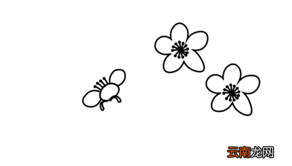 卡通樱花简笔画 卡通樱花简笔画怎么画