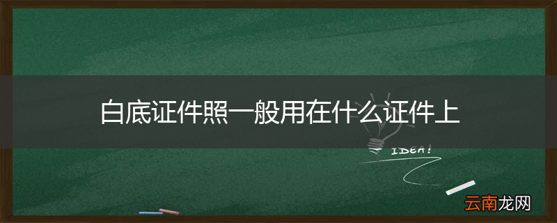 白底证件照一般用在什么证件上