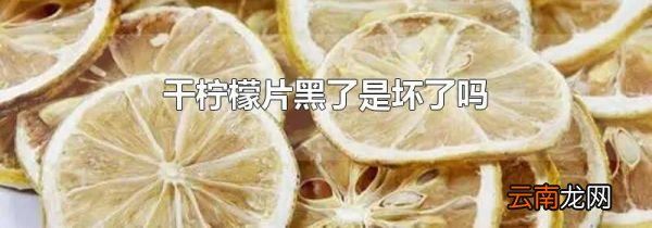 干柠檬片黑了是坏了吗