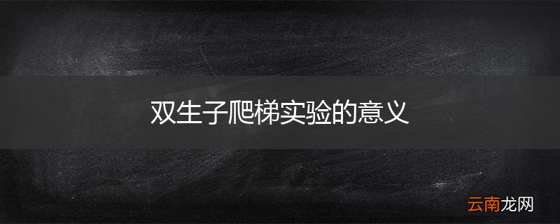 双生子爬梯实验的意义