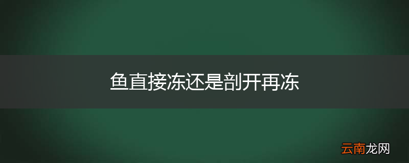 鱼直接冻还是剖开再冻