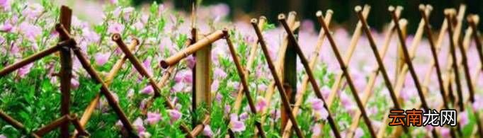 一个篱笆三个桩一个好汉三个帮是什么意思？