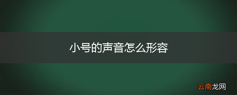 小号的声音怎么形容