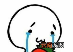 qaq是什么意思？
