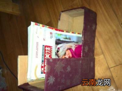 废旧纸盒可以做什么