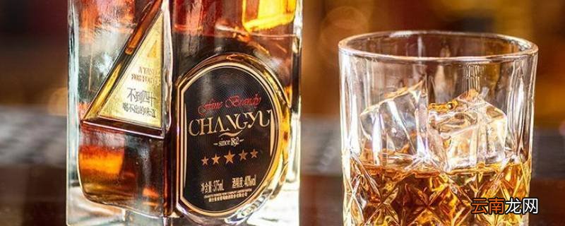 金奖白兰地属于什么酒
