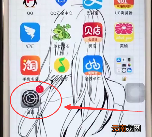 iphone6中禁止app使用移动网络的简单步骤