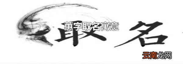 蕙字取名寓意