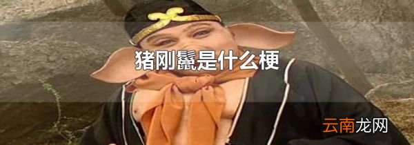 猪刚鬣是什么梗