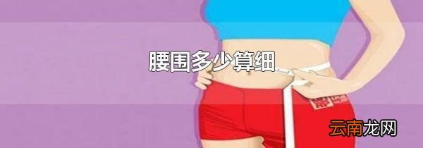 腰围多少算细
