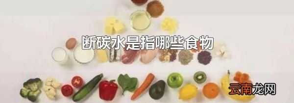 断碳水是指哪些食物