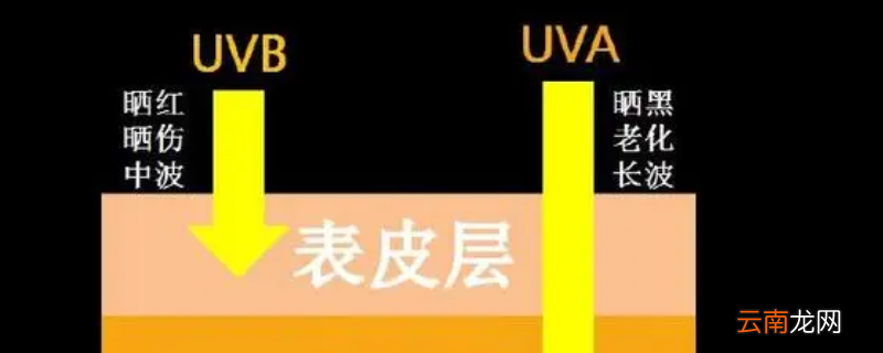 uva指的是什么