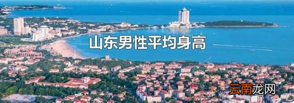 山东男性平均身高