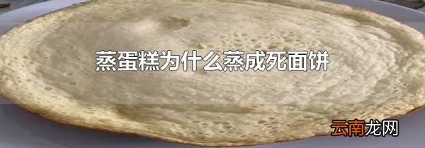 蒸蛋糕为什么蒸成死面饼