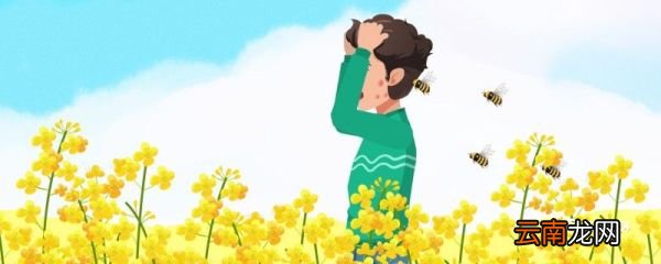 世界蜂蜜日是几月几日 蜂蜜日是几月几日