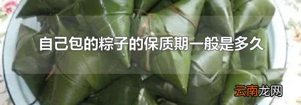 自己包的粽子的保质期一般是多久