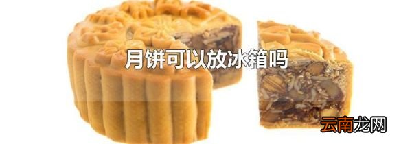 月饼可以放冰箱吗