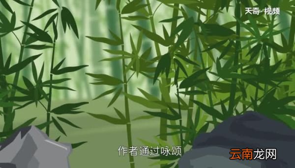 咬定青山不放松，立根原在破岩中的意思咬定青山不放松，立根原在破岩中的翻译