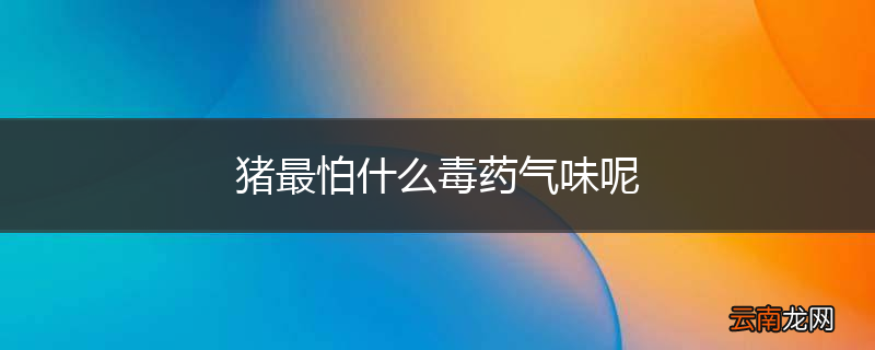 猪最怕什么毒药气味呢