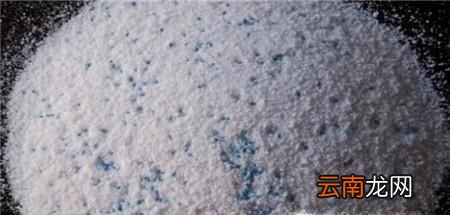 家里有蚂蚁怎么办？10个治理蚂蚁的简单方法