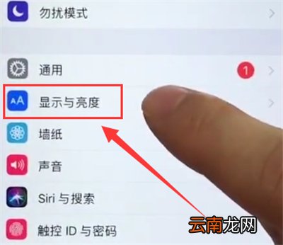 苹果6plus中打开护眼模式的简单方法