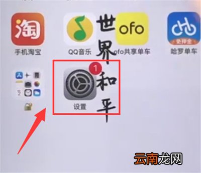 苹果6plus中进行设置时间的方法步骤