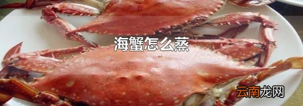 海蟹怎么蒸