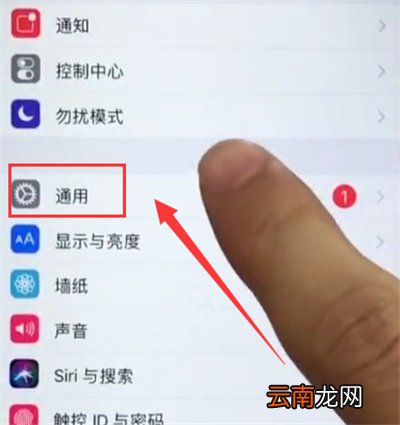 苹果6plus打开小白点的简单步骤