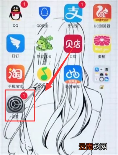 苹果6plus打开小白点的简单步骤