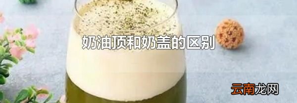 奶油顶和奶盖的区别