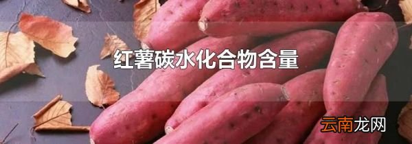红薯碳水化合物含量