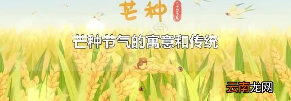 芒种节气的寓意和传统