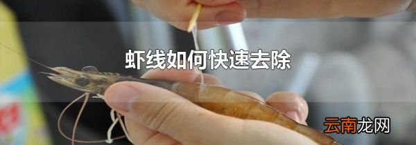 虾线如何快速去除
